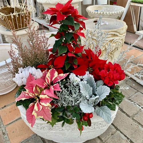 初心者におすすめのクリスマス寄せ植えアイデア