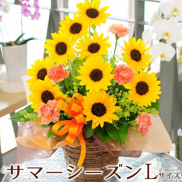 ひまわりいっぱいアレンジ お祝い 御祝 向日葵 ひまわり ヒマワリ ギフト 送料無料 花 お誕生日 誕生日 開店祝い 周年祝い お祝い 豪華 夏ビタミンカラー 6月 7月 記念日 プレゼント 返し お返し お中元 御中元生花アレンジメント