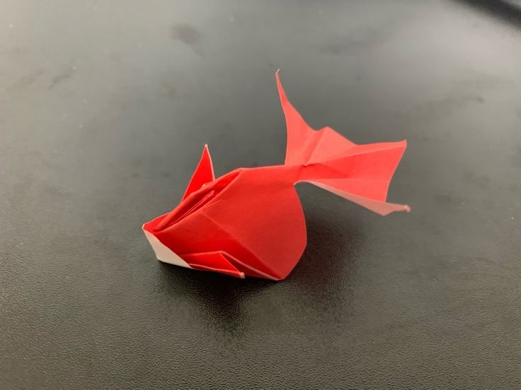 折り紙 金魚すくいの折り方Goldfish scooping