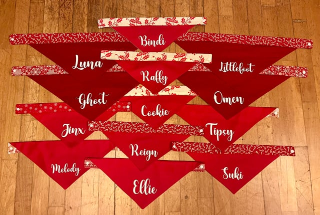 クリスマス 書のパターンあなただけにご提案する “当て字漢字のお名前” をさいたまの書家が書きます