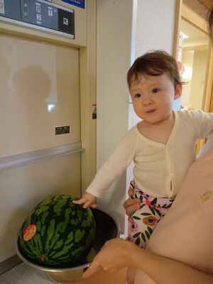 フォトグラファー10人が描く“新しい季節感”―夏のテーマは「スイカ」 - NICO STOP ニコストップ フォトライフスタイルWEBマガジン