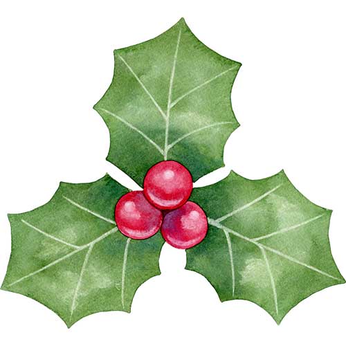 キラキラした柊のコーナー〜クリスマス〜イラスト - No: 24321834無料イラスト・フリー素材なら「イラストAC」