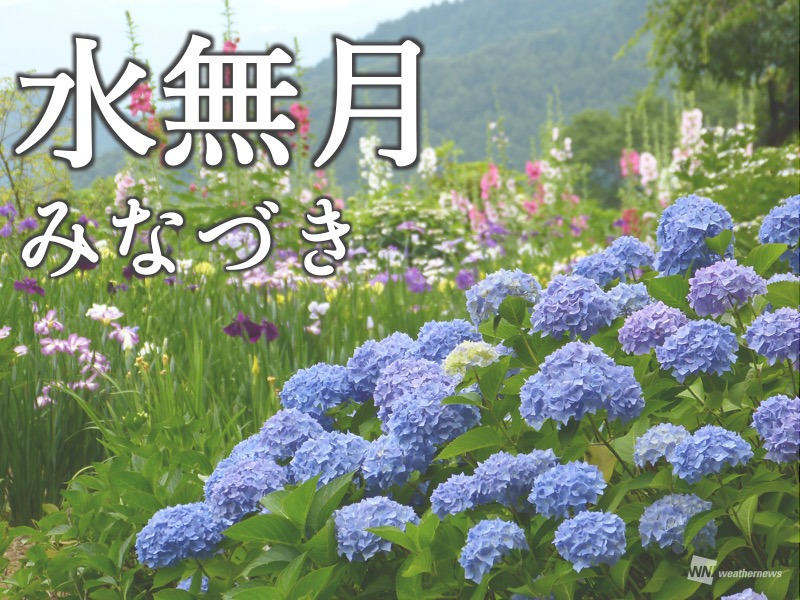 水無月 京都府うちの郷土料理：農林水産省