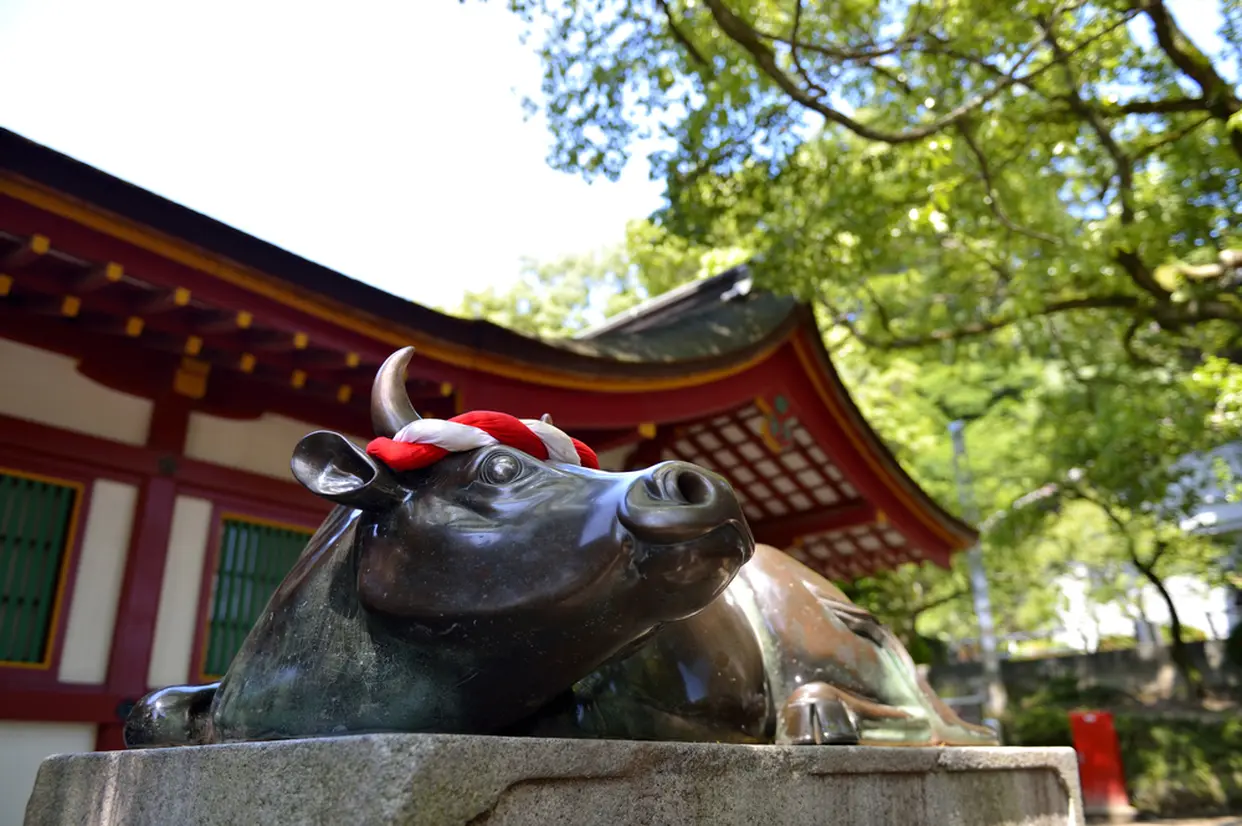 太宰府天満宮の御神牛 福岡県太宰府市宰府４丁目７−１の写真素材57253381- PIXTA