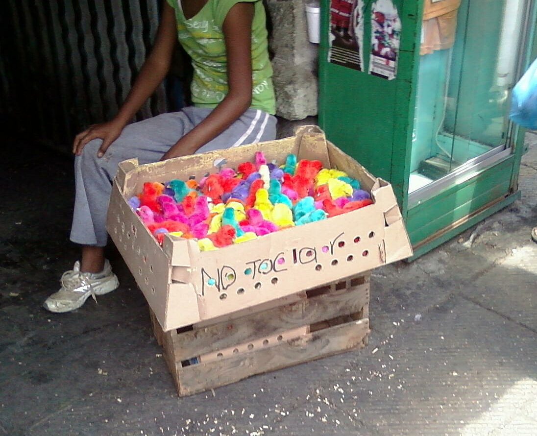 カラーひよこは買ってはいけない？その理由とは