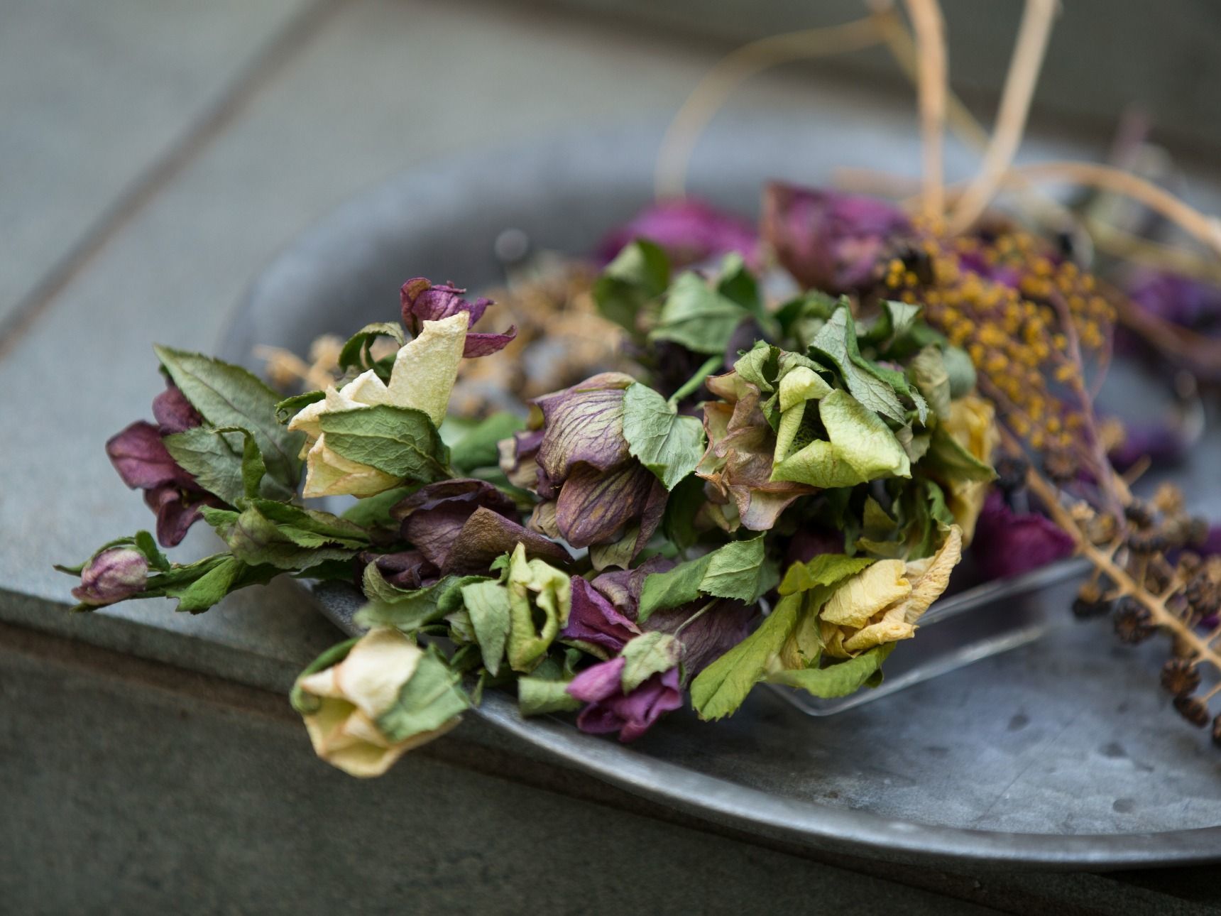 クリスマスローズのドライフラワーエクステリアのトレド 長野市