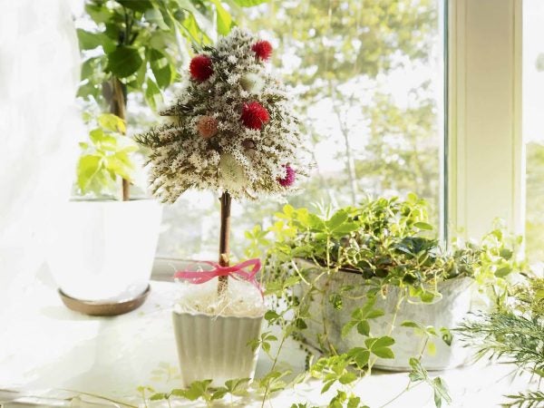 Amazon.co.jp:dhiuebc新生活 クリスマスツリー カラー7 オーナメント 飾り クリスマスミニツリー 蝶結び 玄関 ドア30cm 飾り ミニツリー 掛る 北欧風 クリスマス飾り 壁掛け飾り 庭園 部屋 壁飾り おしゃれ 新年飾り 贈り物 花 ベル デコレーションプレゼント