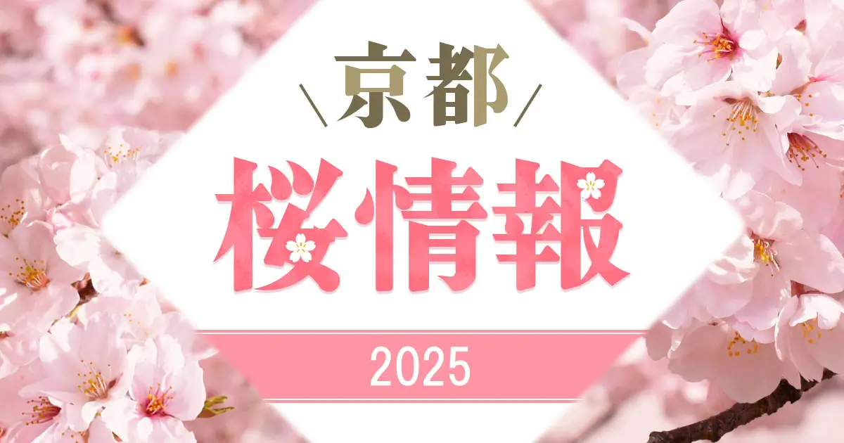 東寺桜ライトアップ2026年3月 夜間拝観