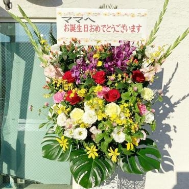 お誕生日祝いのお花花・ギフト専門通販 PARAVOCE パラボッセ