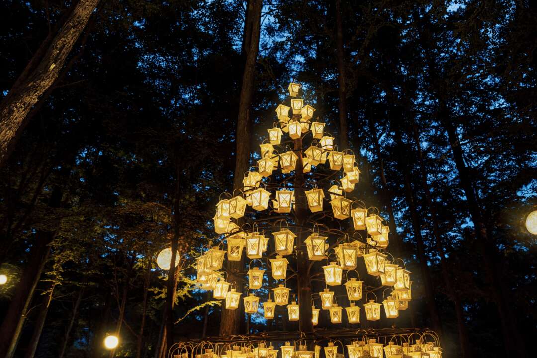 軽井沢 石の教会で幻想的なX'mas キャンドルナイトaumo アウモ