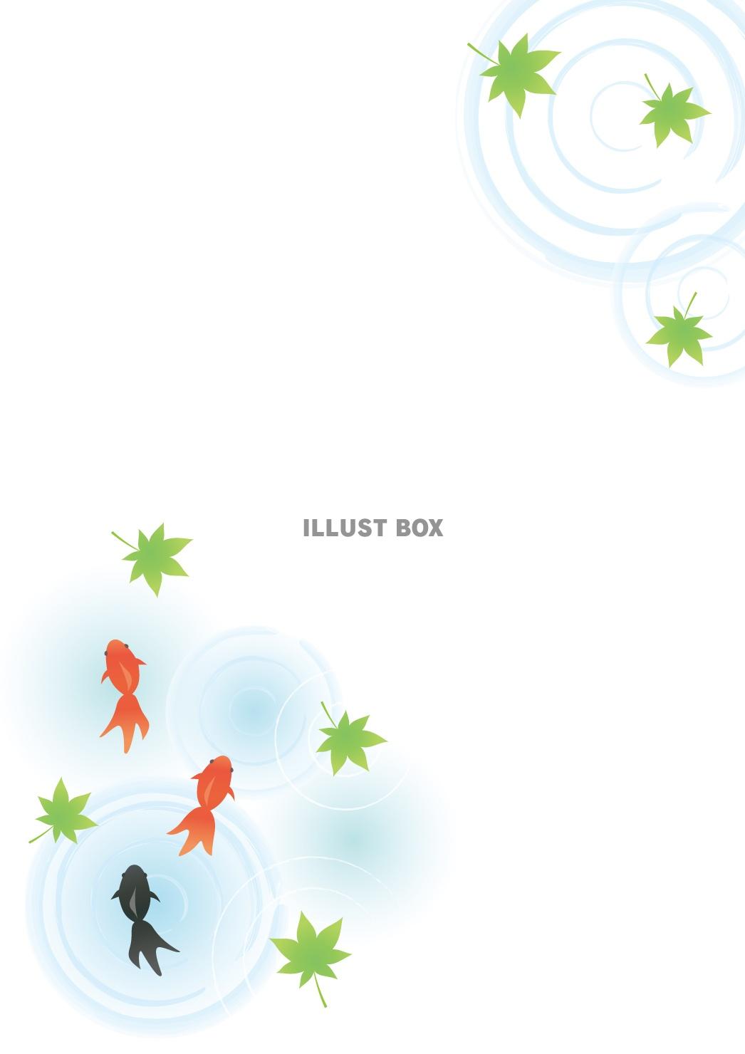 暑中見舞い はがき 和風 イラスト 夏 和紙 お中元 お礼 御礼状 花きらら ６枚入り 挨拶状 送料無料 四季 花 出産 結婚 内祝い お礼状 ハガキ葉書 ポストカード 絵葉書 朝顔 露草 桔梗 ひまわり 花火 金魚 福井朝日堂 京都F. A