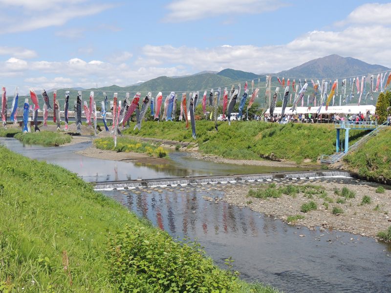 平塚市 鈴川鯉のぼりまつり - EVENT & NEWSかながわシープロジェクトFeel SHONAN