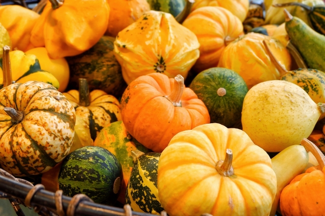 ハロウィンのかぼちゃ起源は「悪魔からもらった火」？明日から使える豆知識を解説します！ - トクバイニュース