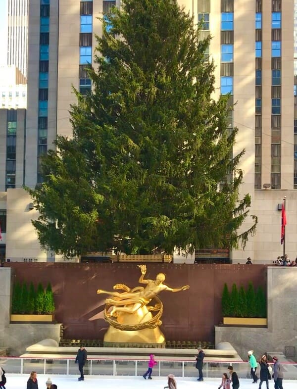 ホーム・アローンinコンサート