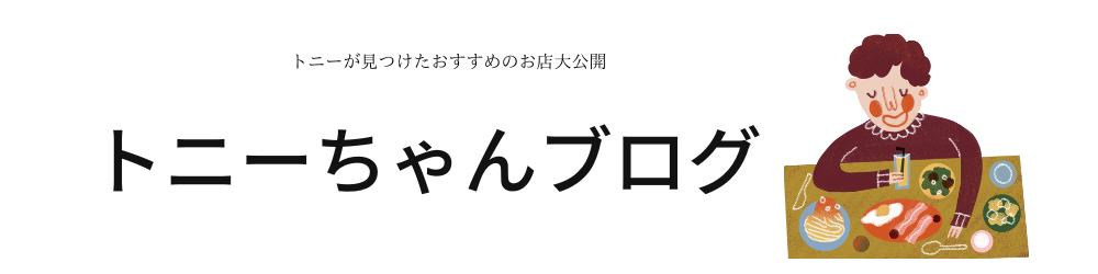 豊橋祇園祭 打上花火大会2025 散歩