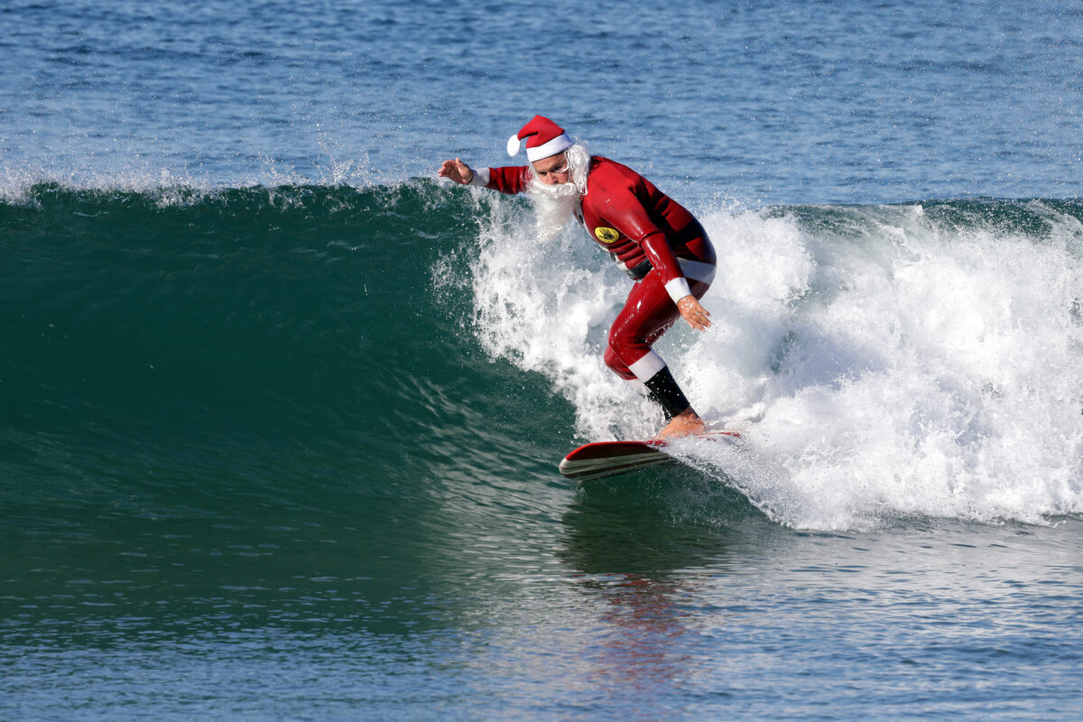 オーストラリアのクリスマス クリスマスツリーに登っちゃったコアラ サーフィンサンタ