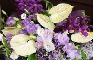 11月16日の誕生花一覧花言葉・誕生花HanaPrime ハナプライム