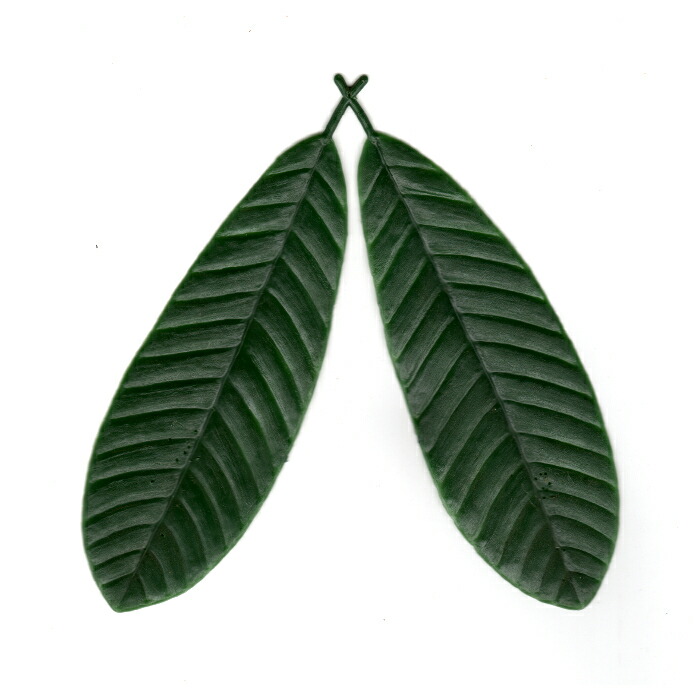 ゆずり葉のインテリア実例RoomClip ルームクリップ