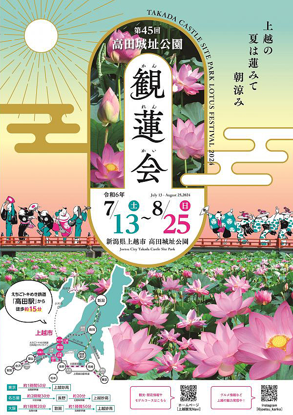 上越市の観蓮会: 蓮の花を楽しもう！TikTok