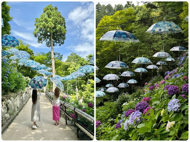 雨の日だって晴れの日だって、インスタ映えの主役！「傘」特集aumo アウモ