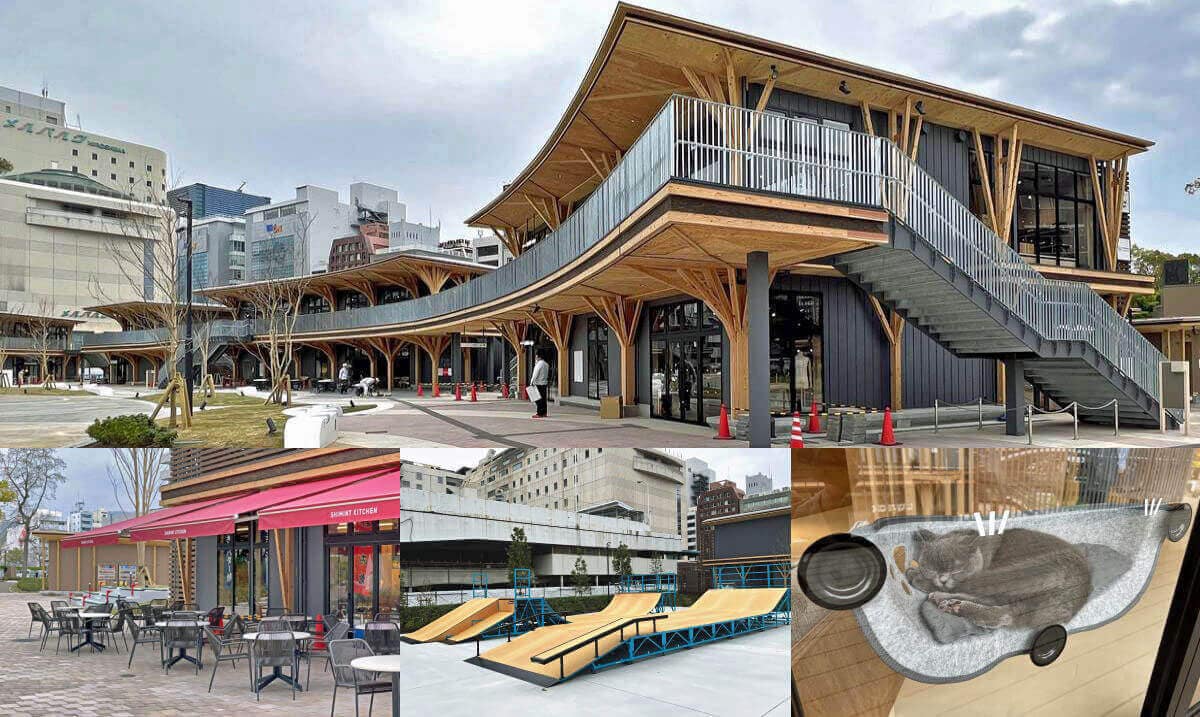 筑波山ゲートパークで「みんなの登校日2024 筑波山ゲートパーク体験イベント」が開催されます！ 2 24筑波山地域ジオパーク公式ホームページ