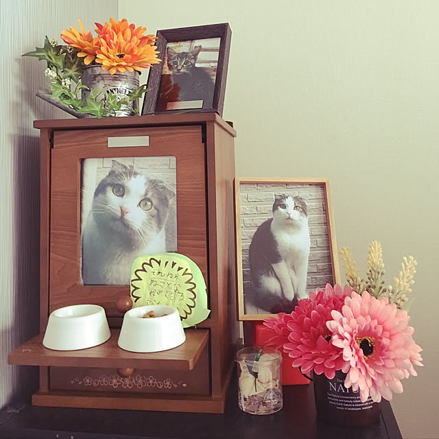 セリア コスパ最強の夏祭り！ 暑すぎる夏休みは「おうち縁日」で涼しく楽しく盛り上がろう雑貨All About