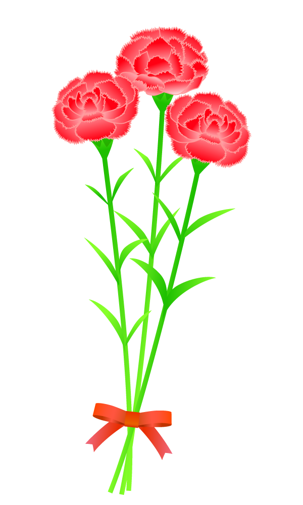 母の日にカーネーションの花束をもらうお母さんの無料フリーイラスト - イラストストック