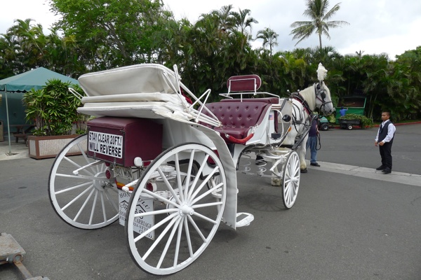 チャペルセレモニーに続いて、ランドー馬車でホースパレードに。 結婚式当日、ふたりだけの貴重な時間を過ごすことができる大切なひと時です。ウェスティンホテル東京ウェスティン花嫁ホテルウェディングホテル婚花嫁クラシカルウェディング2025秋婚2025