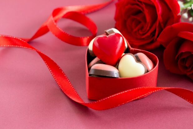 かわいい 贈り物 おしゃれ ギフト プレゼント 雑貨 女の子への 誕生日 プレゼント 親友 友人 ガールフレンドへの 214 バレンタイン デーの実用的な ハイエンドの パンダ ↑中学生、小学生女の子向けギフトのお店 🎄クリスマスプレゼントは決まりましたか？😉 今っぽくて