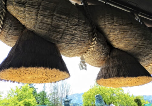 参道の先に夕日が沈む「光の道」で有名な宮地嶽神社へ。日本一の大しめ縄も壮観でした。やりたいことをぜんぶやろう！気ままな人生