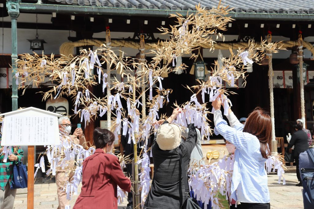 大阪で有名な病気平癒の神社に行ってまいりました。 - 難病専門 大阪 前田鍼灸院新脳針でPVL・パーキンソン病に挑む難病専門 大阪前田鍼灸院新脳針でPVL・パーキンソン病に挑む