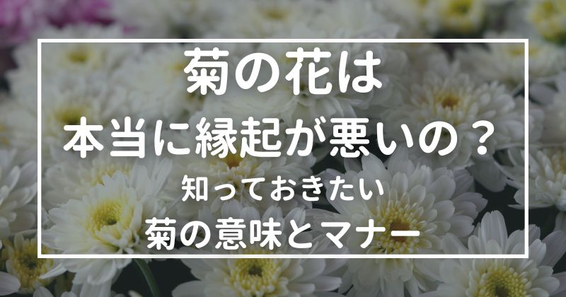 9月9日は菊を飾ろう！D.STYLE