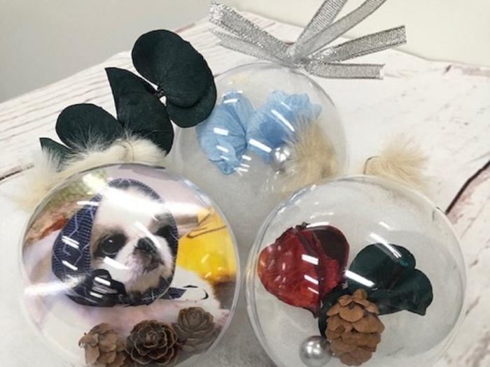 関東・関西 愛犬とクリスマス気分を満喫できるお店 ペットと一緒