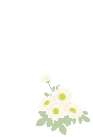 菊の花の喪中はがきのイラスト素材80731200- PIXTA