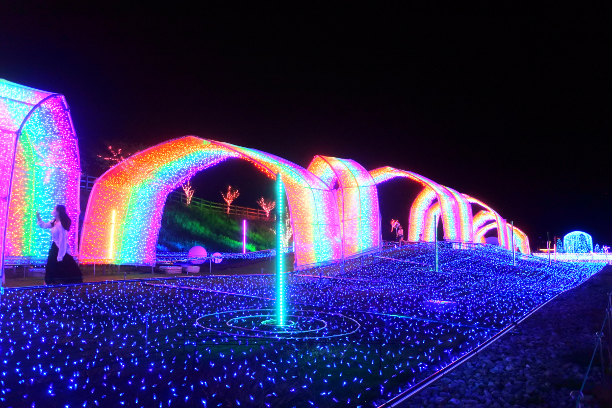 滋賀の復活イベント「HIKARIUM」イルミネーション情報