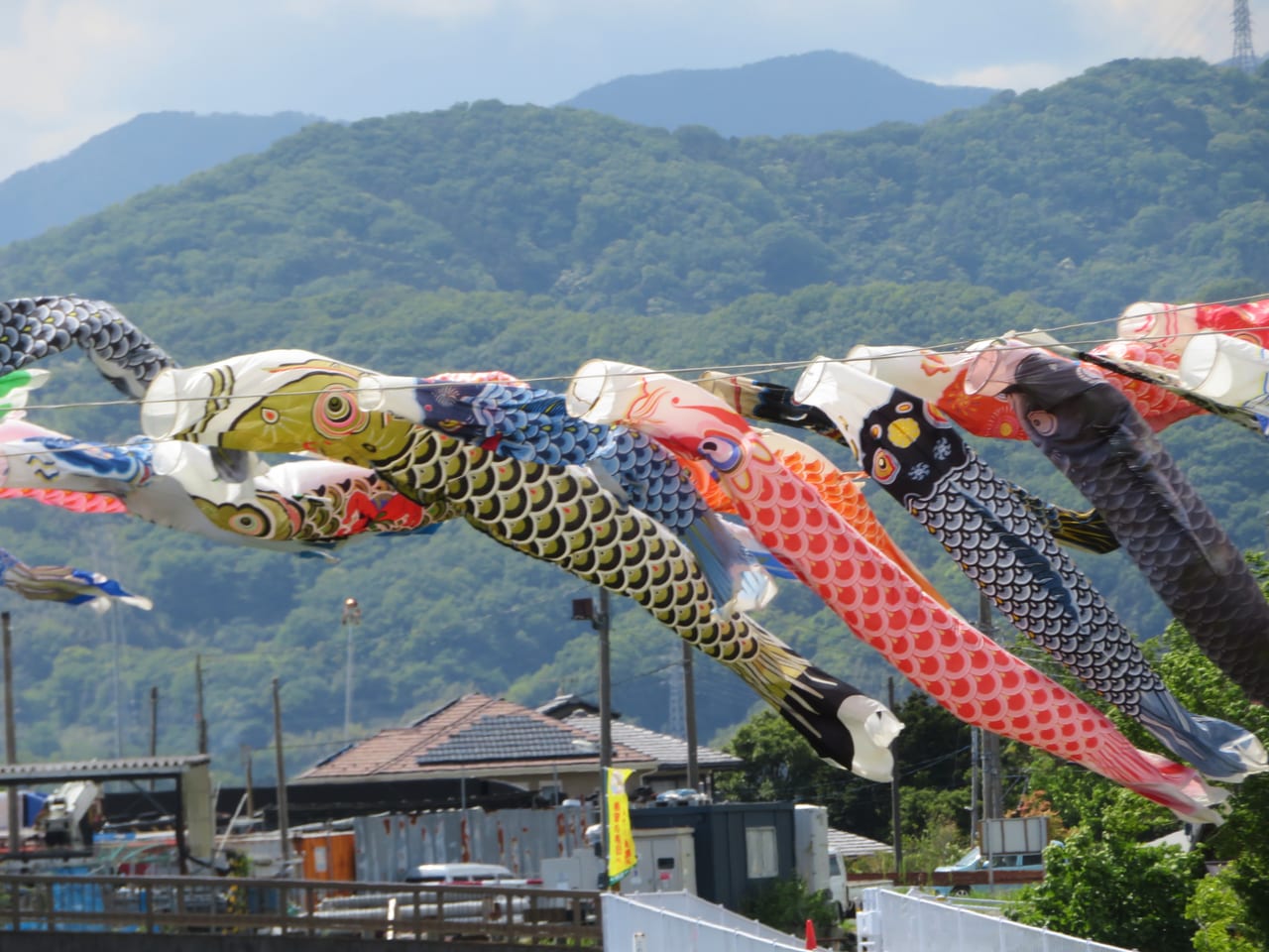 ５枚セット ダイソー ご祝儀袋 お祝い袋 のし袋 熨斗袋 金封 水引 結婚 入園 入学 就職祝いYahoo!フリマ 旧PayPayフリマ