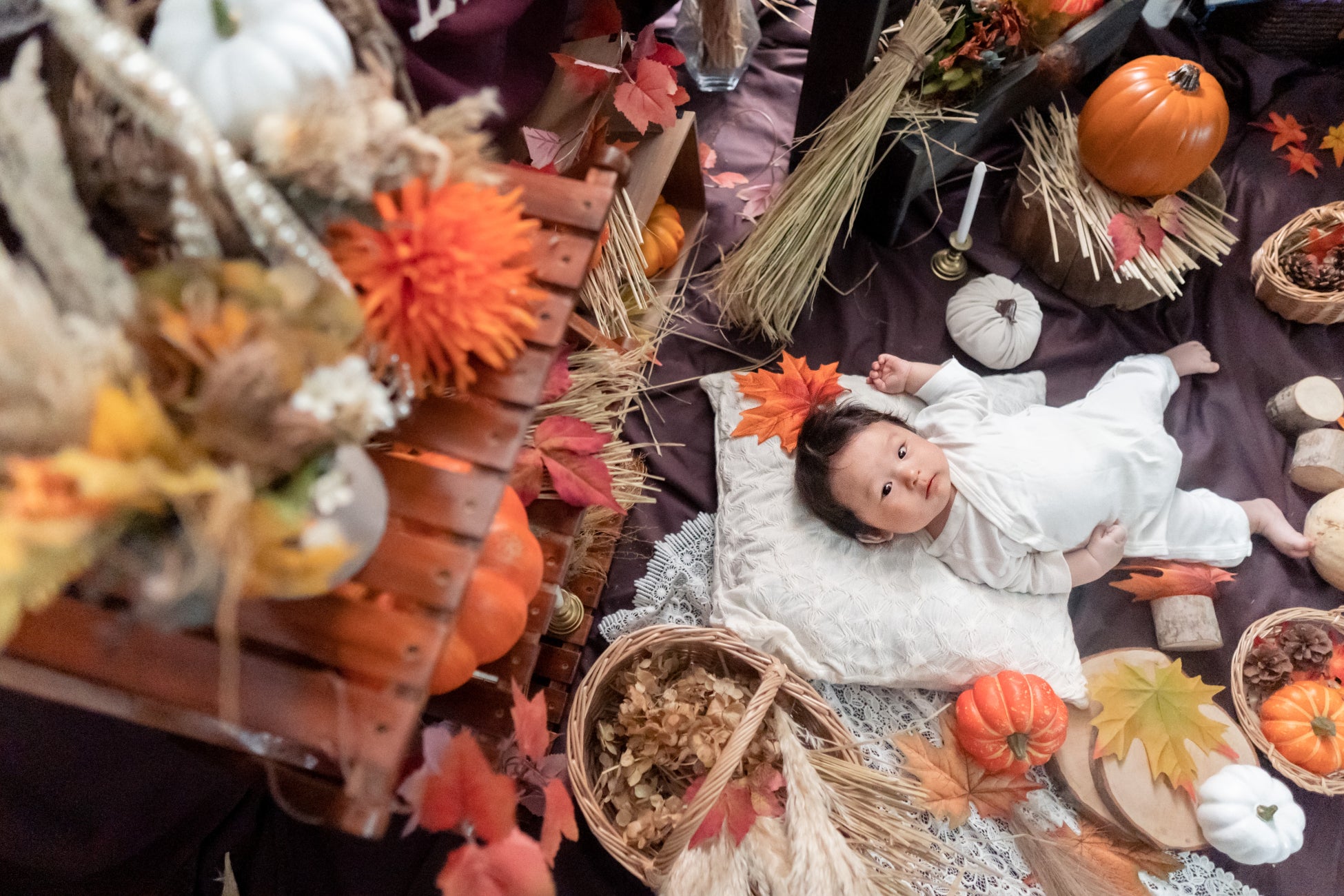 🎃👻思い出をつくろう！ハロウィン無料フォトブースができました！🎃👻 - まち情報こうのす市民活動情報サイト