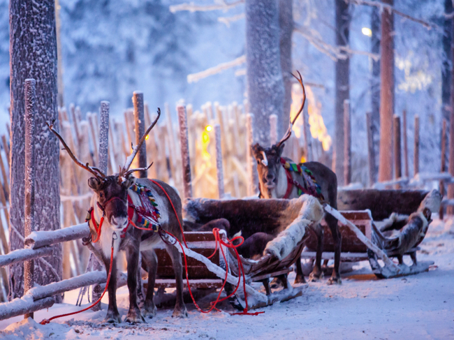 3,462 サンタクロース そり Stock Photos, High-Res Pictures, and Images - Getty Imagesクリスマス, サンタクロース 雪車, クリスマスツリ