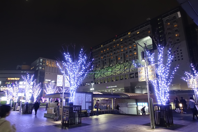 2024年最新 京都のおすすめイルミネーション17選 - Relux Journal