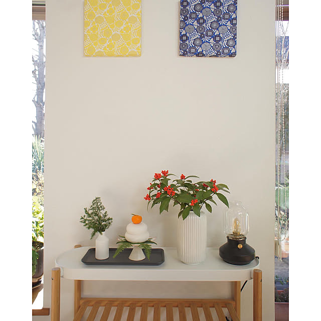 三重県総合博物館 ユズリハ Daphniphyllum macropodum ウラジロ Gleichenia japonica