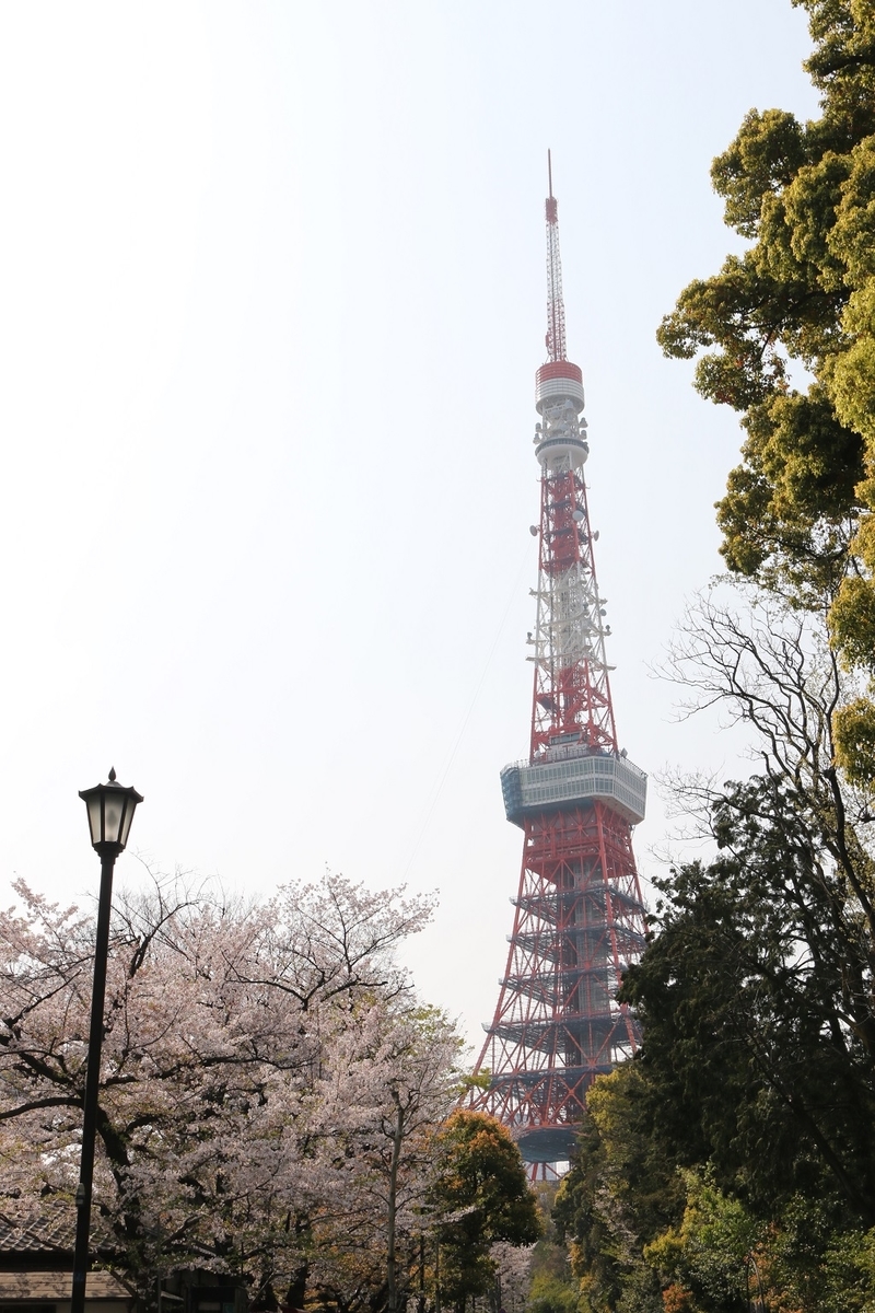 芝公園の桜開花・満開 天気情報 2025 - 日本気象協会 tenki.jp