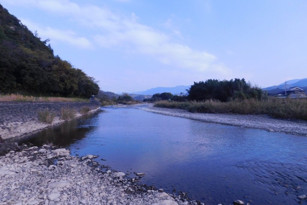 ひろしまドリミネーション2024広島市中区 イルミネーションガイド2024-2025 - ウォーカープラス