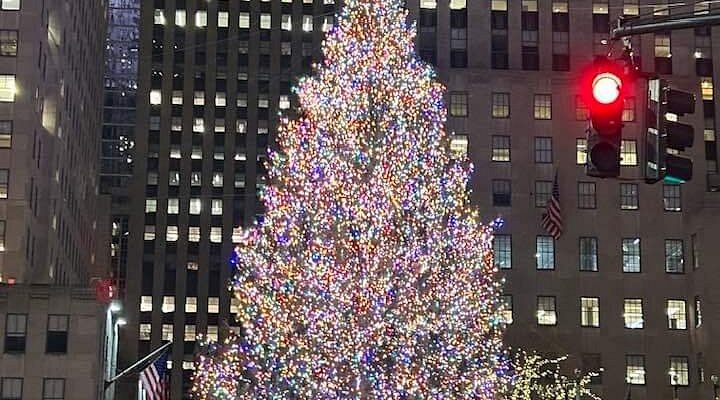 ニューヨーク市のベスト11のクリスマスツリー - Hellotickets