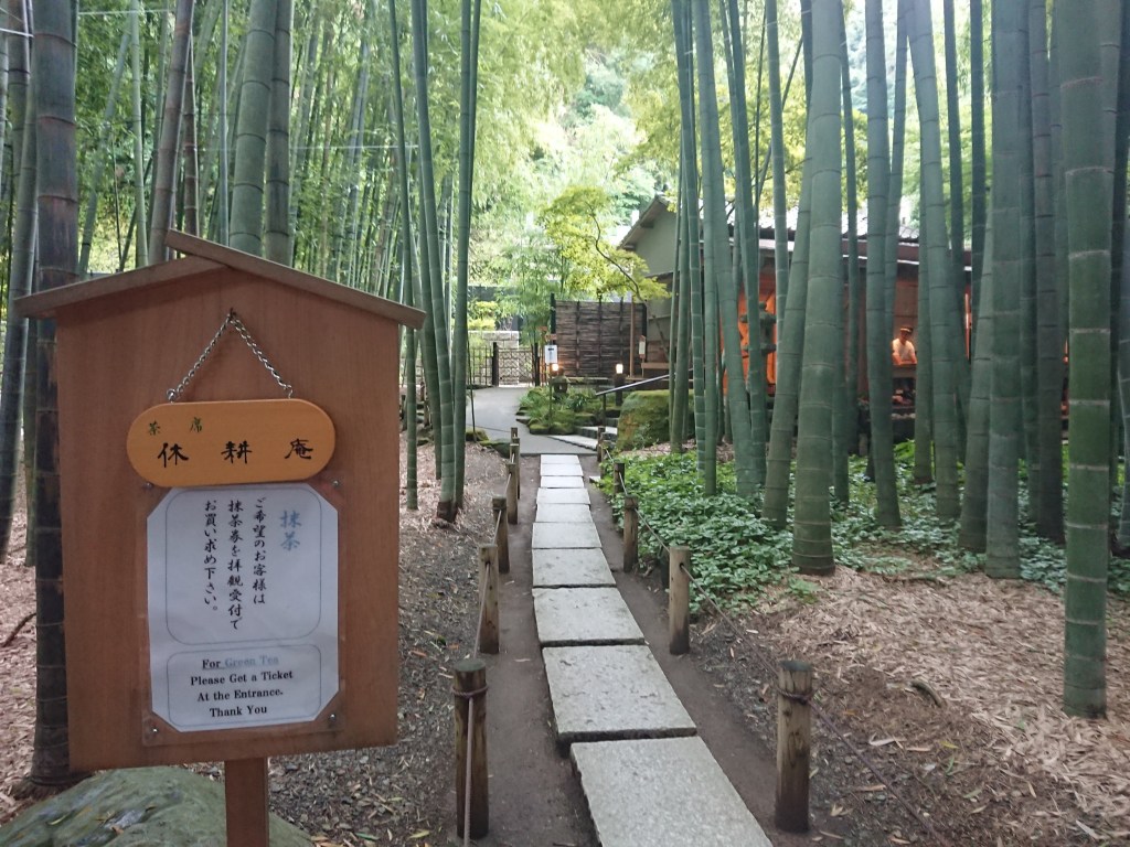 約2000本の竹林が広がる鎌倉・報国寺「竹の庭」で優雅なお抹茶タイム 2024年1月10日更新 るるぶ&more