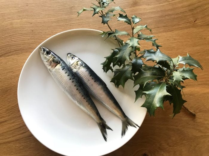 2021年の節分はいつ？～節分に使われる植物も紹介～ - 花だより