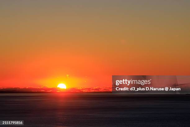 中国旧正月 春節 獅子が舞う横浜中華街の無料の写真素材 - ID.28246フリー素材 ぱくたそ