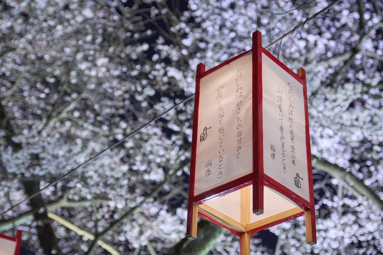 春の装飾 ～桜の装飾～桜ボンボリ紙製ガーランド 紐W180cm～ イベントグッズ・イベント用品