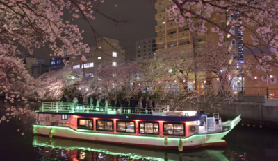 花見で屋台行こうとしたら終わってた花筏になった大岡川 船に乗りたい 本日早めからやります。今宵も昭和歌謡にまみれ魔性