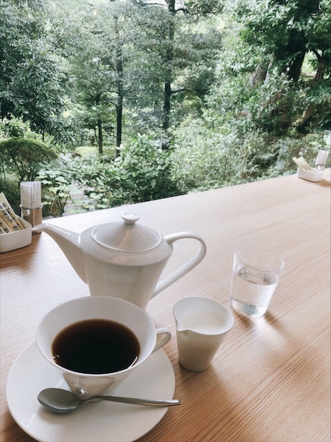 美術館Vlog ＃64 根津美術館の魅力を味わう、紅葉、カキツバタ、日本庭園、NEZUCAFE、ミュージアムカフェ、ミュージアムグッズ、表参道、青山、2024-2025東京Tokyo