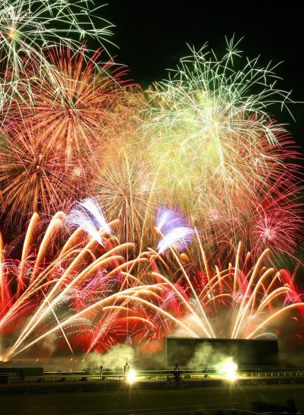 東京競馬場で「TOKYO シティポップ 花火 2024」7月3日開催！観覧席とホテル宿泊がセットになった便利でお得なツアーが発売 - 花火大会2025- ウォーカープラス